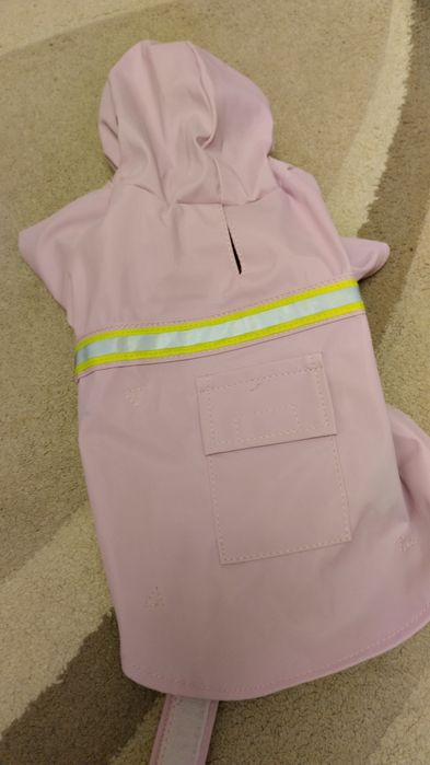 Hainute de cățel moderne