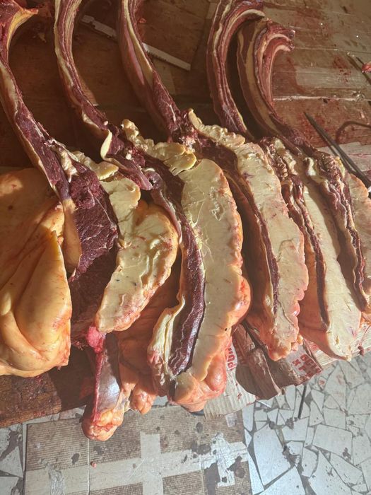 Мясо конины жылкы ет