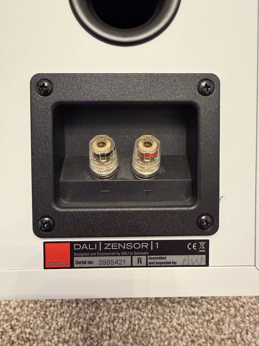 boxe raft profesionale dali zensor 1