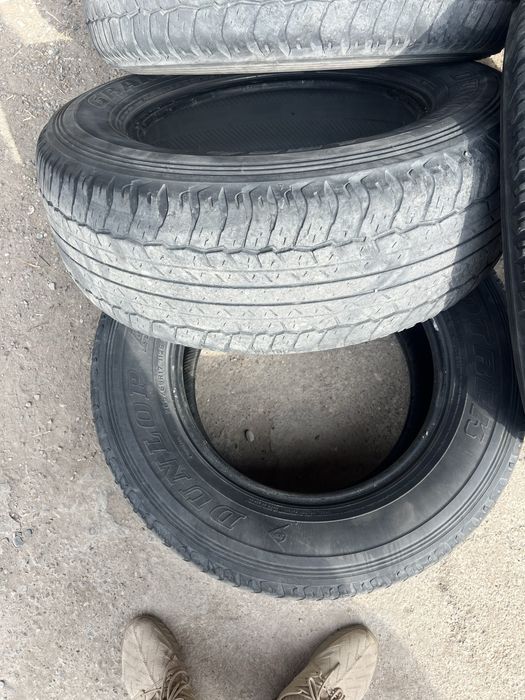 Шины Dunlop от Prado