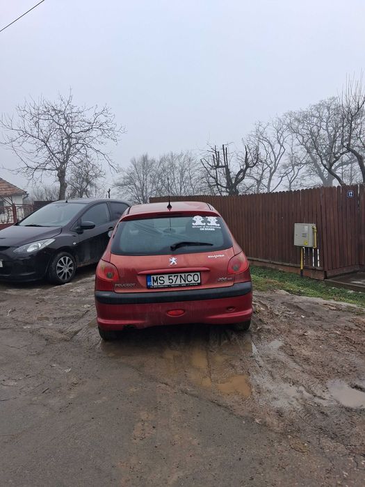Vand pejo 206 Dizel an 2004