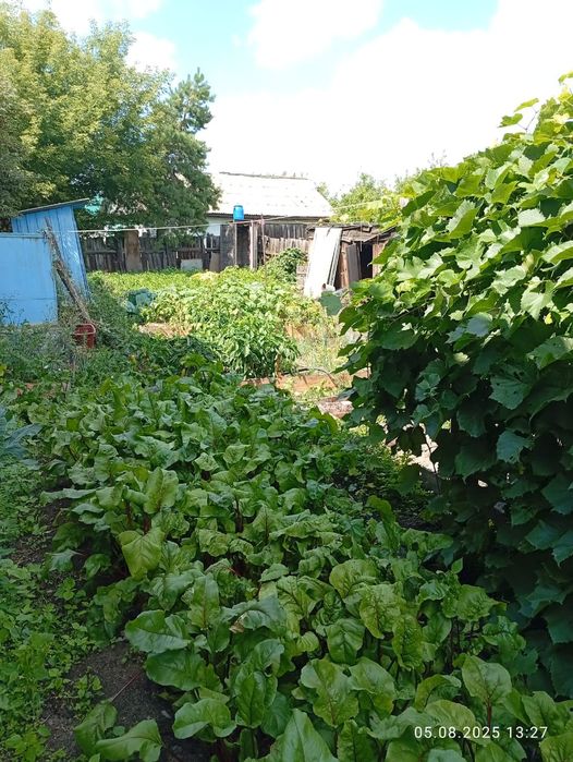 Продам частный дом