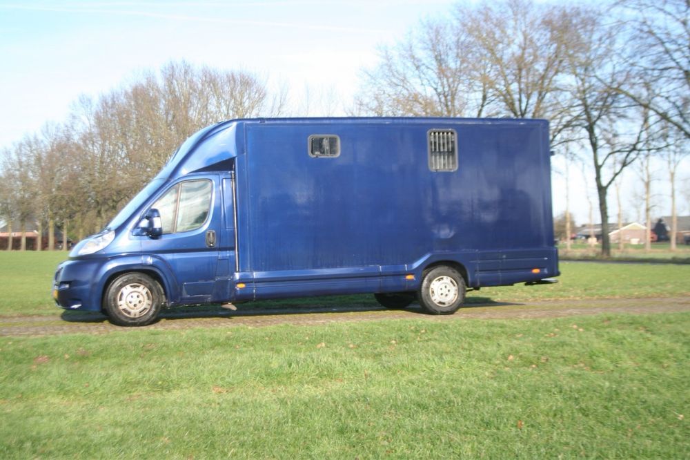 Peugeout Boxer L4H3 камион за 2 коня- кат.В  185к.с. -отлично състояне