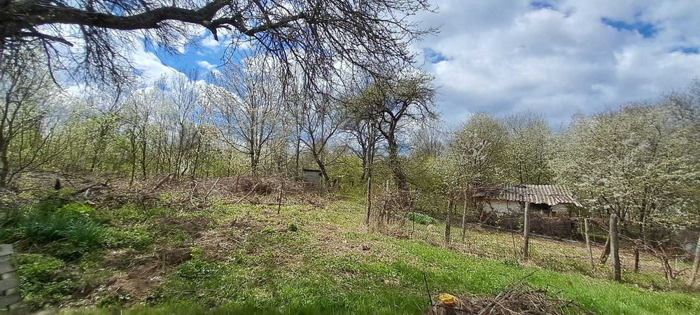 Proprietar, vand 2 case pe un picior de Plai, cu priveliste superba, in Provita de Sus, Prahova