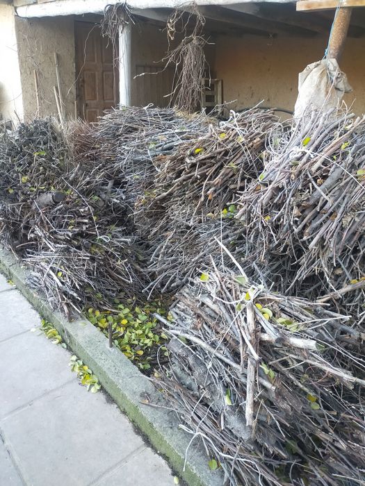 Даиын Отын путалган