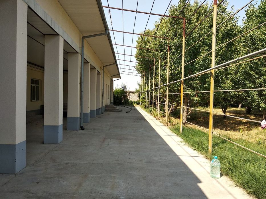 Дала ховли сотилади