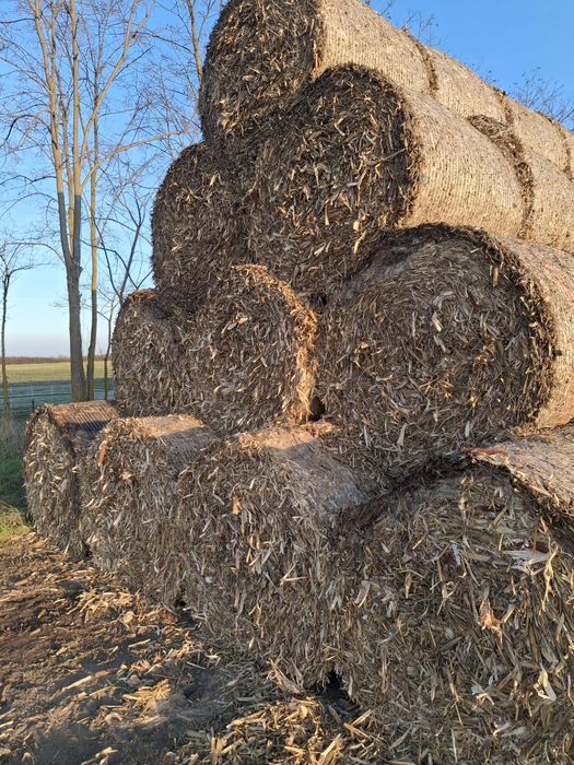 Baloți de tulei/ tocătură de vânzare