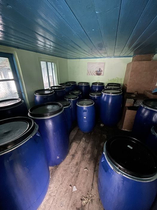 Varza murata soi “De Buzau”