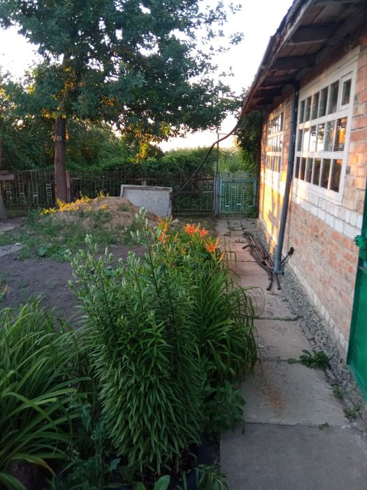 СРОЧНо. Срочно ТОРг