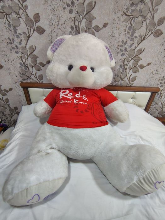 Yumshoq igrushka ayiqlar