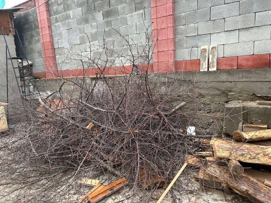 Отдам дрова даром