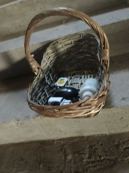 корзина корзина корзина