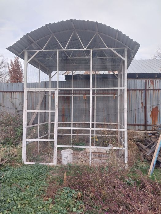 Продается сетка для голубей с голубями