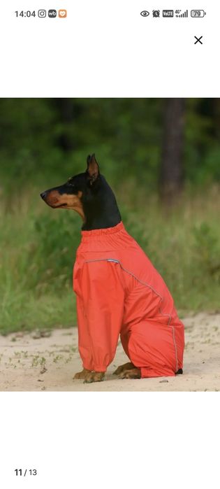 Комбинезон для собаки