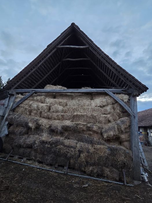 Baloti lucerna neplouata