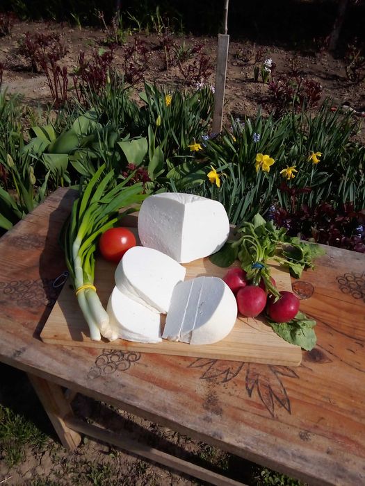 Cas proaspat de capra