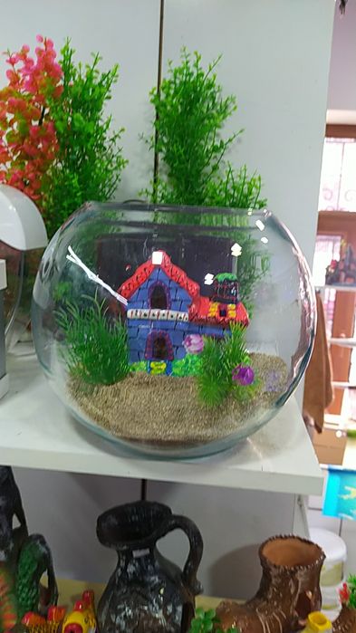 Dumaloq Akvarium new