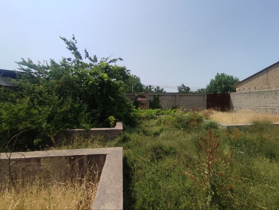 Барданкуль, Bardanko'l, Срочно арзон ер