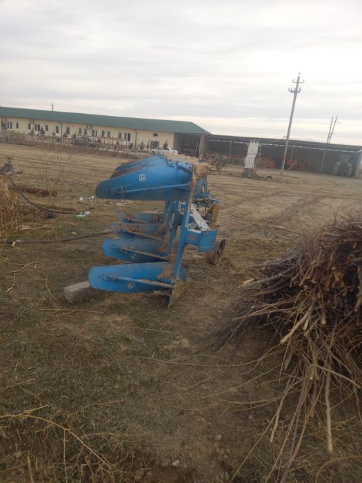 Limkent puluk sotiladi