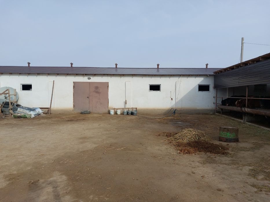 Фазенда (откорм) сатылады