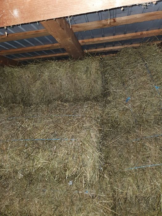 Baloti lucerna , baloti de lucerna,  vând baloti de luterna