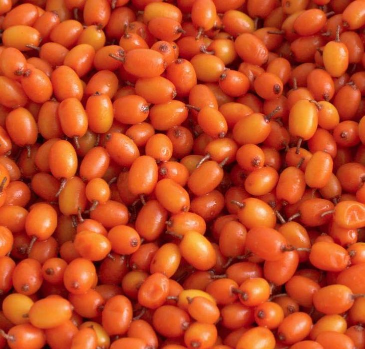 Vand catina congelata