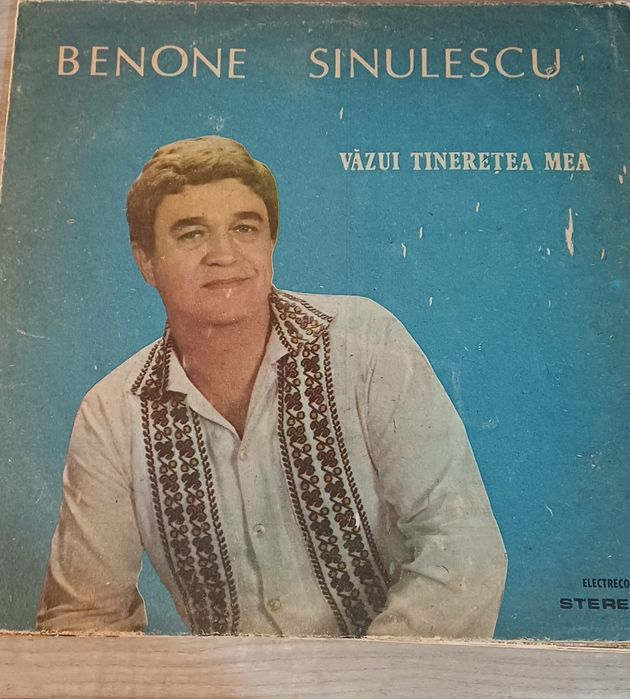 Viniluri muzica populara