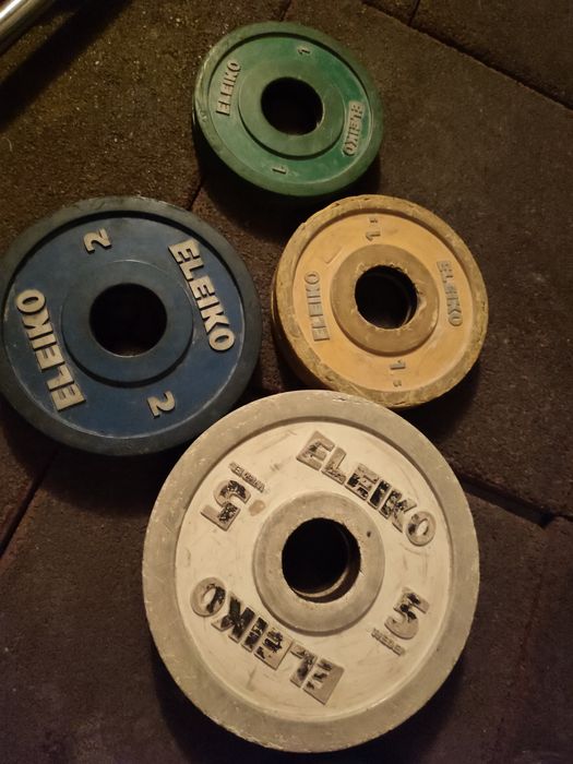 Лост състезателен Полски Елейко Дискове