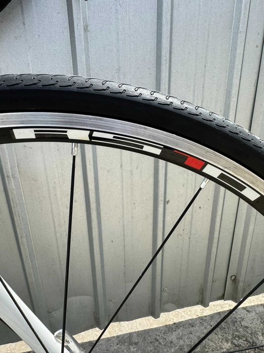 Cursiera Bulls Desert Falcon 1