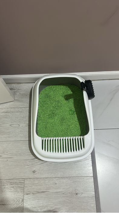 Продам котенка 4 месяца, девочка.