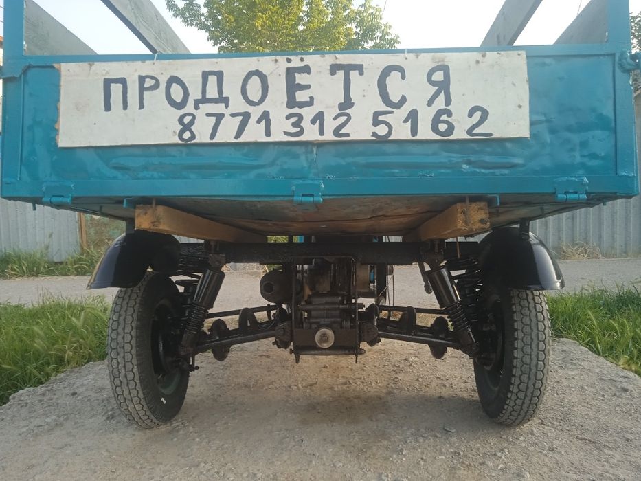Муравей в отличном состоянии