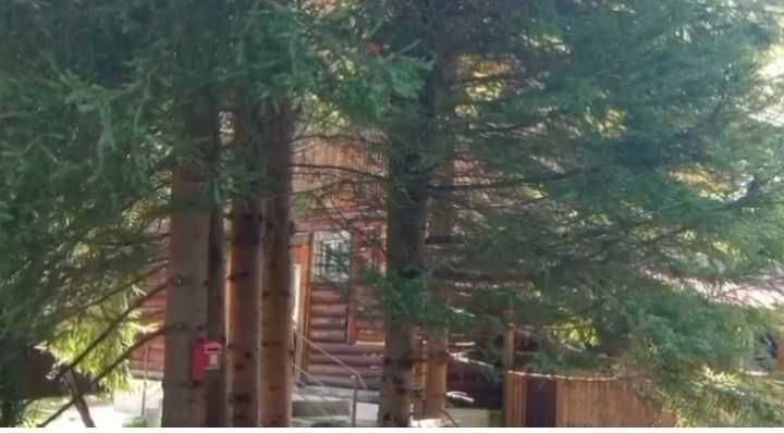 Un vis la marginea paraului