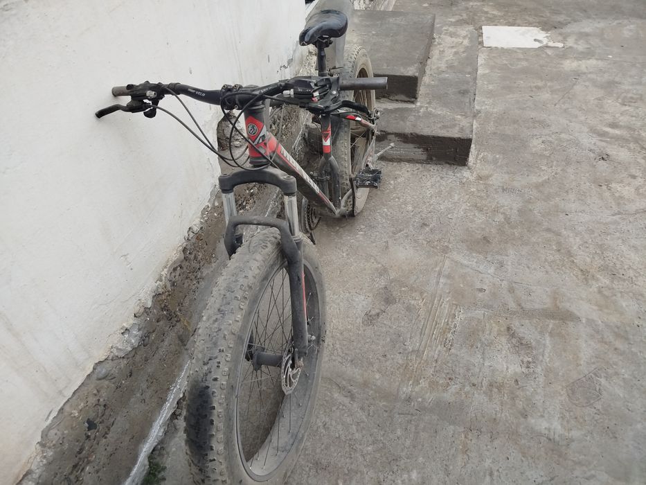 Velik  sotiladi tezda