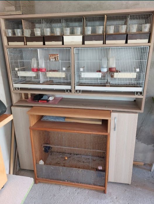 Mobilier pentru crsterea canarilor