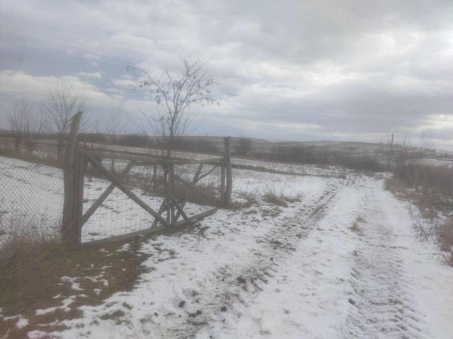 Terenuri la E 58 lângă Fan Courier(Scheia), Dezstore.