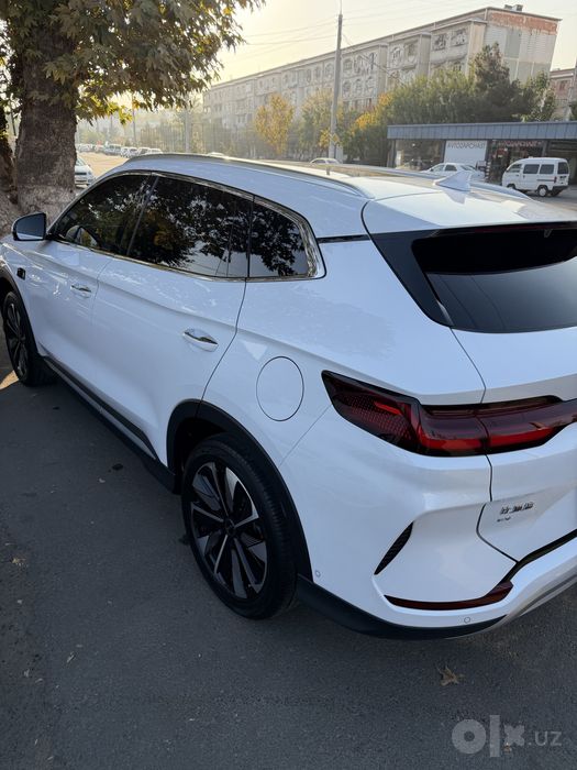 Byd Champion smart 2025