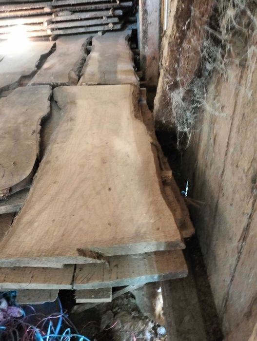 Scandura Cireș și Frasin!