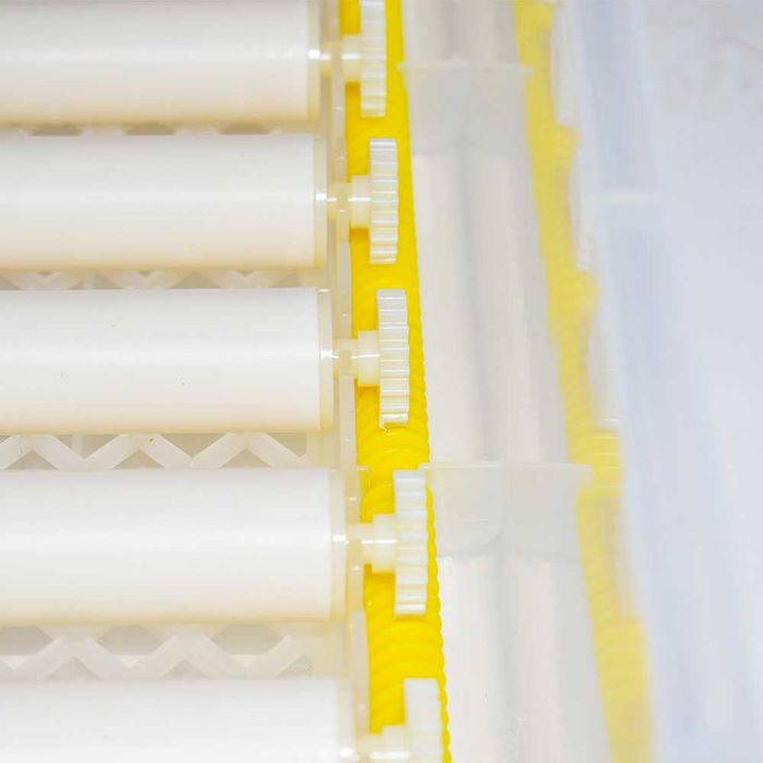 Ролков напълно Автоматичен инкубатор MS-120 яйца (12V/220V)