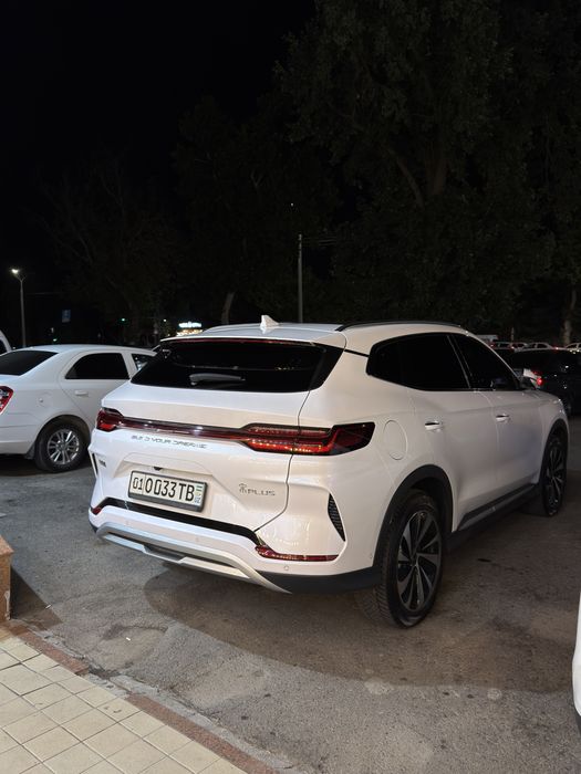 Byd champion song plus full 605