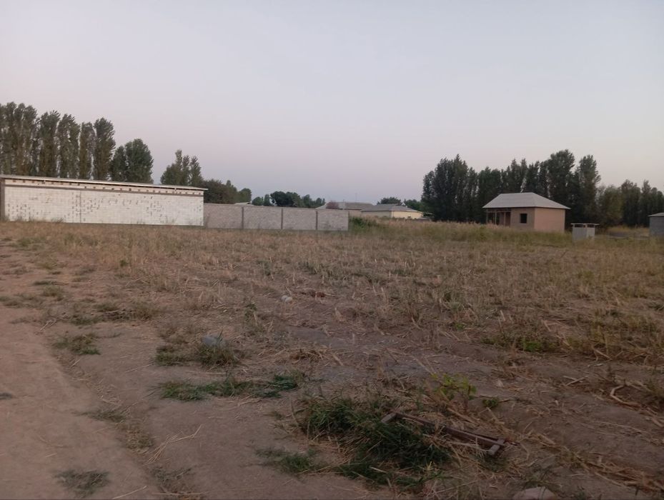 20 сотих йер участка сотуга чикти