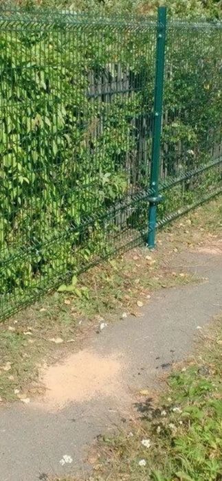 Производим и продаём 3д сетку в городе Актау.