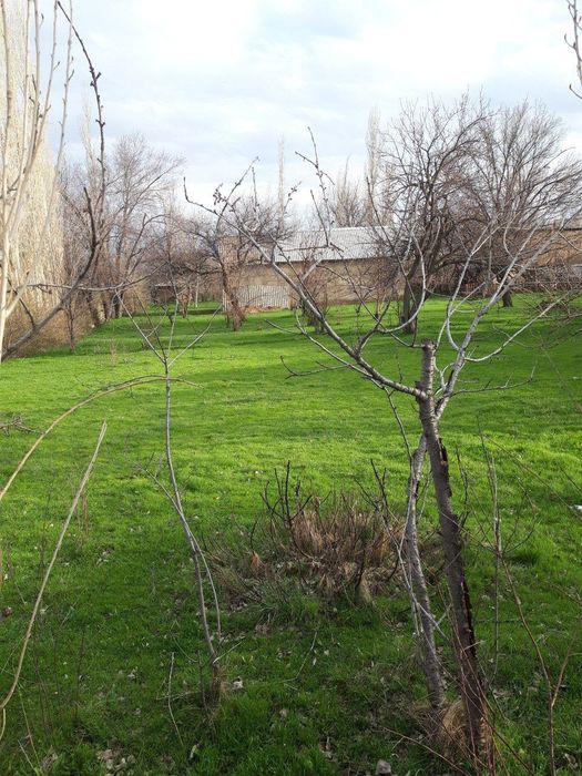 Буш ер участкаси