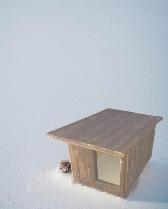 будка для собаки