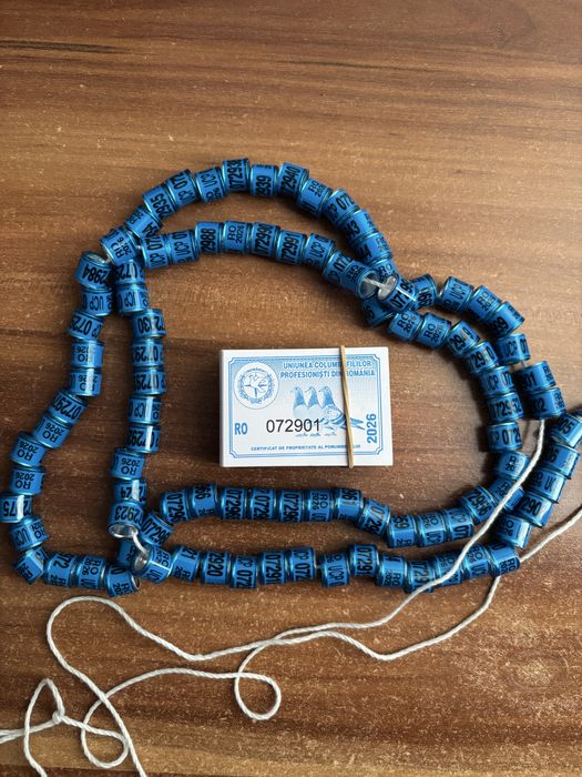 Inele porumbei UCP 2026