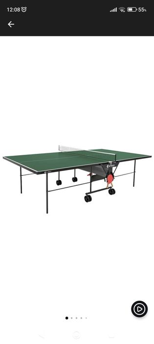 Професионална тенис маса