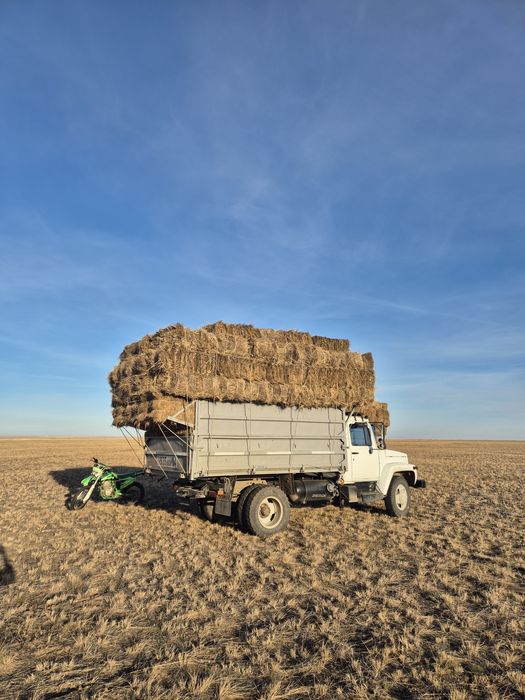 СЕНО ШӨП САТЫЛАДЫ  хабарласамыз