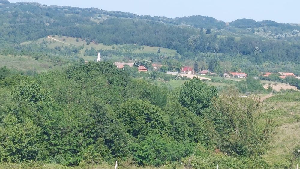 De închiriat: Casă cu grădină generoasă și teren agricol în Ohaba Mâtnic