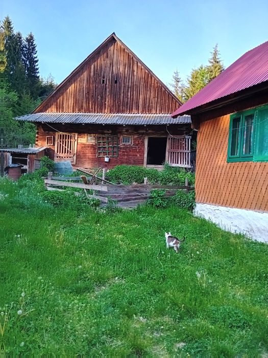 Casa Părintească