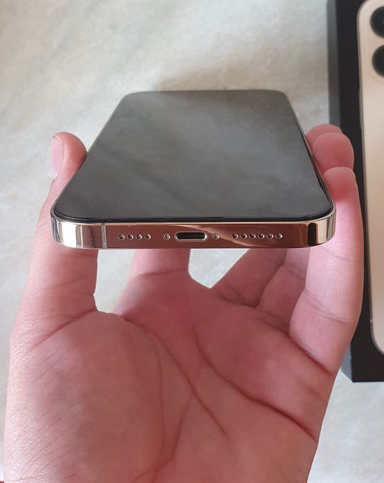 Iphone 13 pro max 256 gb