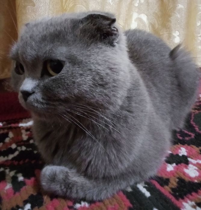Monza avlodidan aqlli ozoda 1 yarim yosh